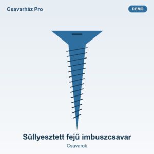 Süllyesztett fejű imbuszcsavar